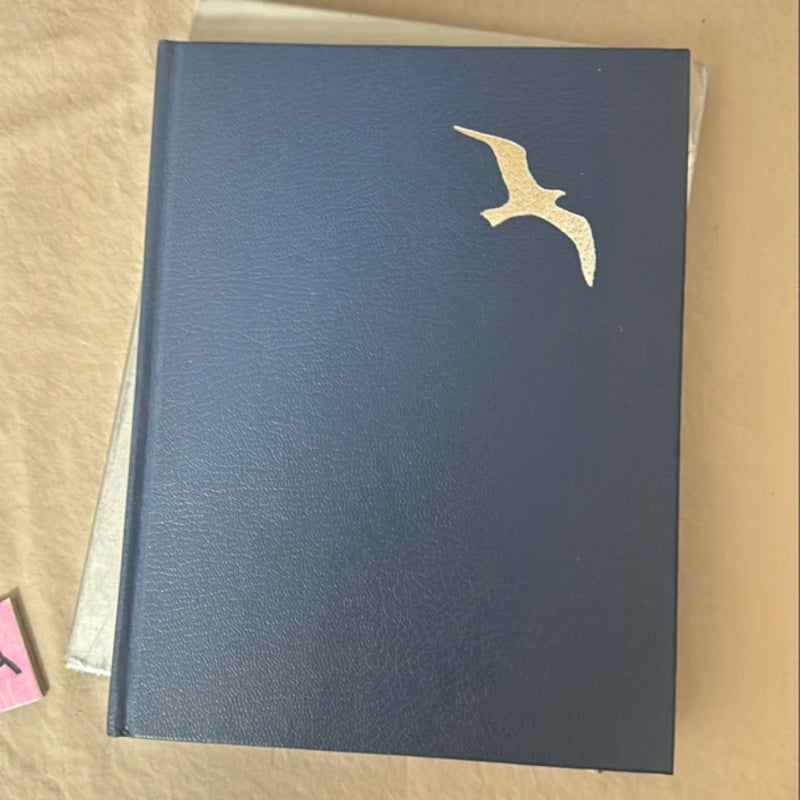 JONATHAN LIVINGSTON SEAGULL