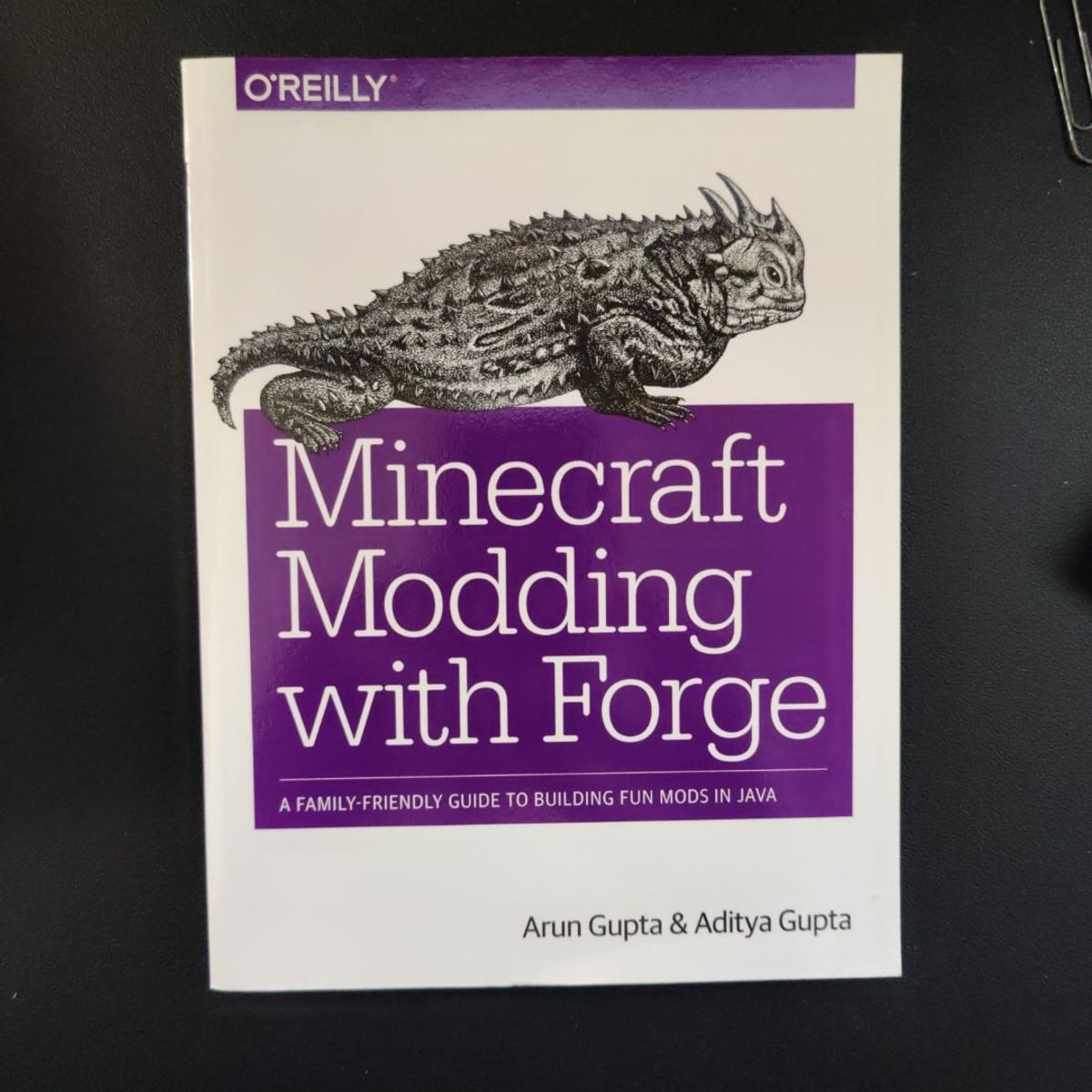 Minecraft Modding with Forge by Arun Gupta, Aditya Gupta