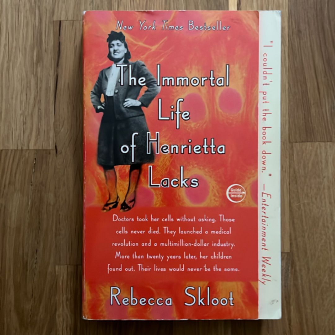 Sale image for ab08e05b-b4b3-4899-bb04-b94bbb3bcc38-vNtdTlkSUZblPM0Xf2EnBEnhiwI3