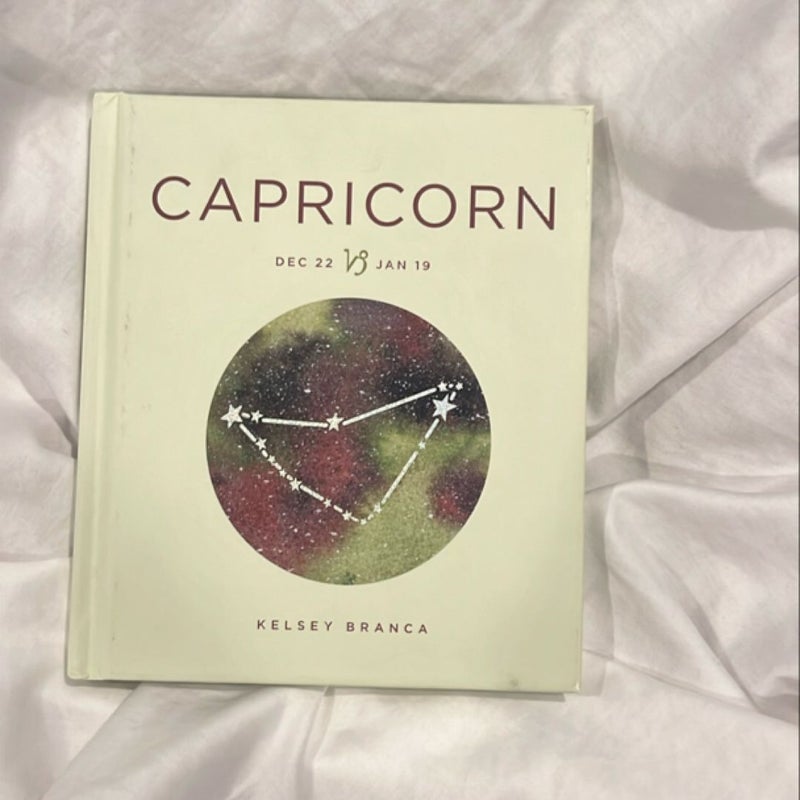 Zodiac Signs Capricorn