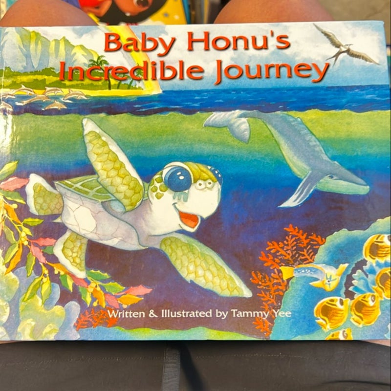 Baby Honu’s Incredible Journey