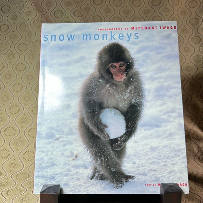 Snow Monkeys