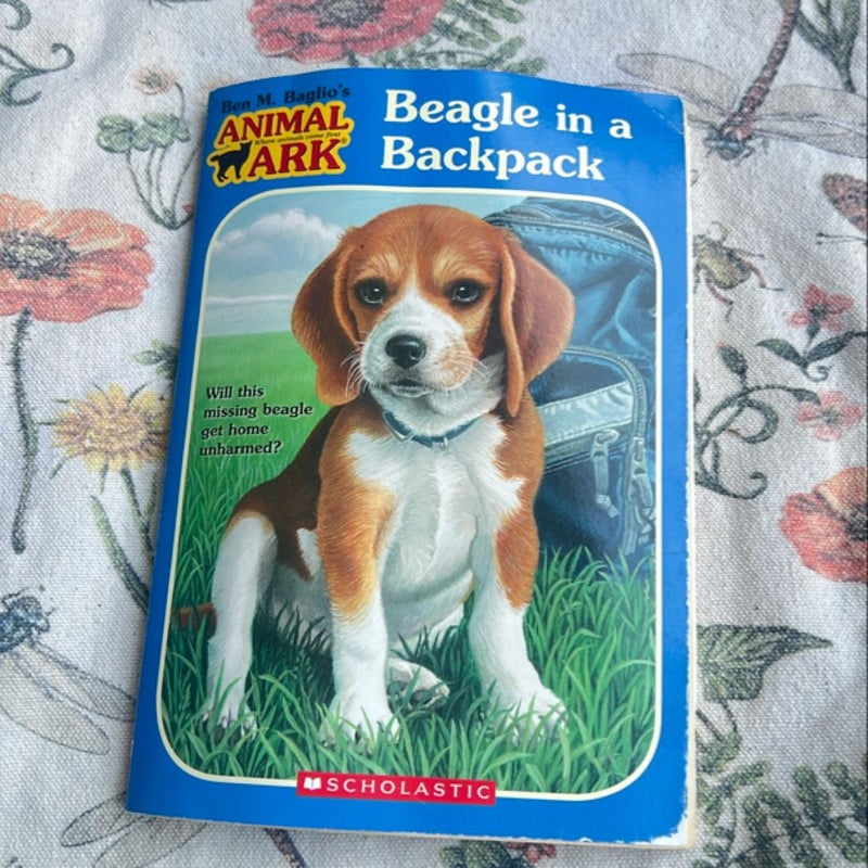 Beagle in a Backpack