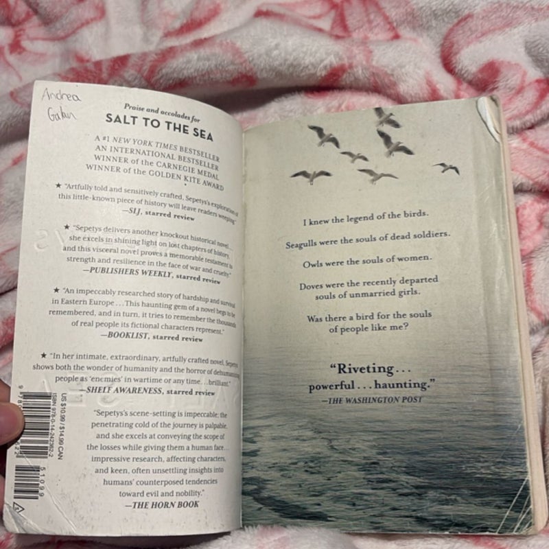 Salt to the Sea