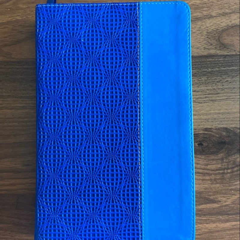 NIV, Adventure Bible, Leathersoft, Blue, Full Color