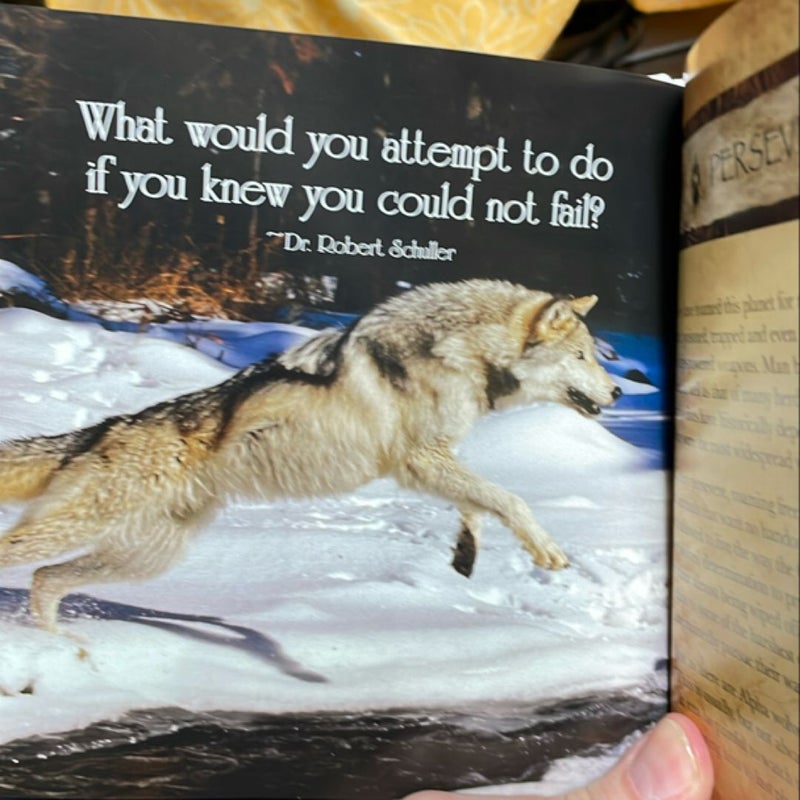 The Wisdom of Wolves