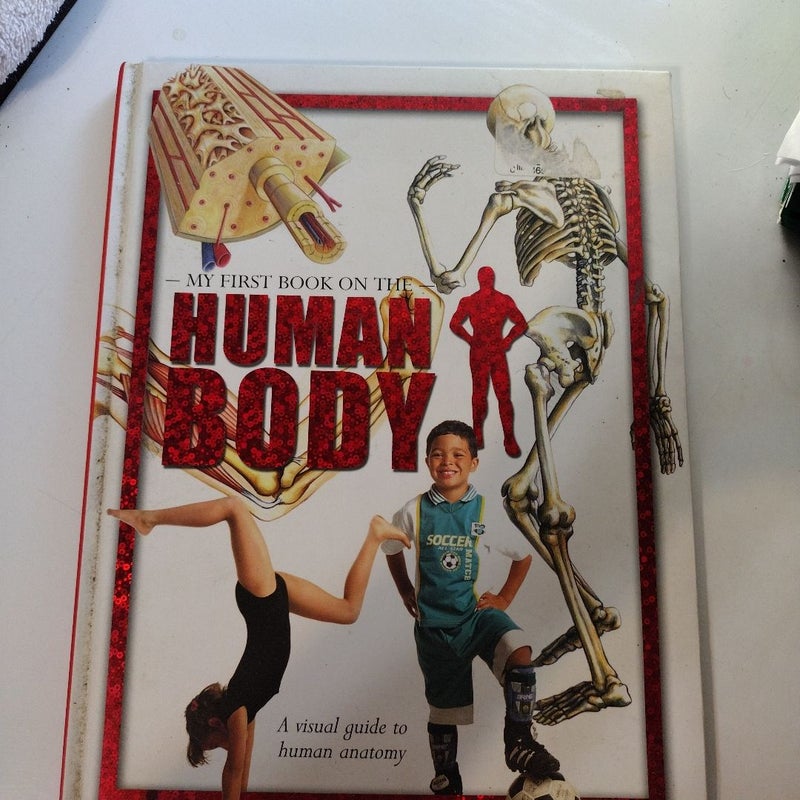 Human Body