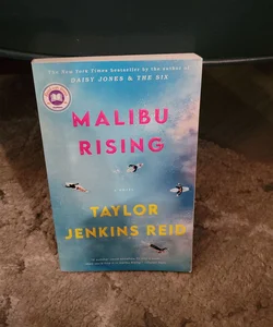 Malibu Rising