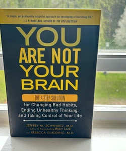 You Are Not Your Brain