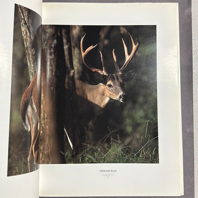 Wildlife of the South- signed by author