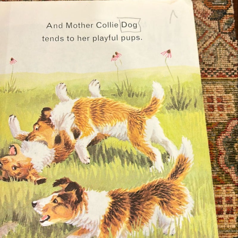 Animals on the Farm