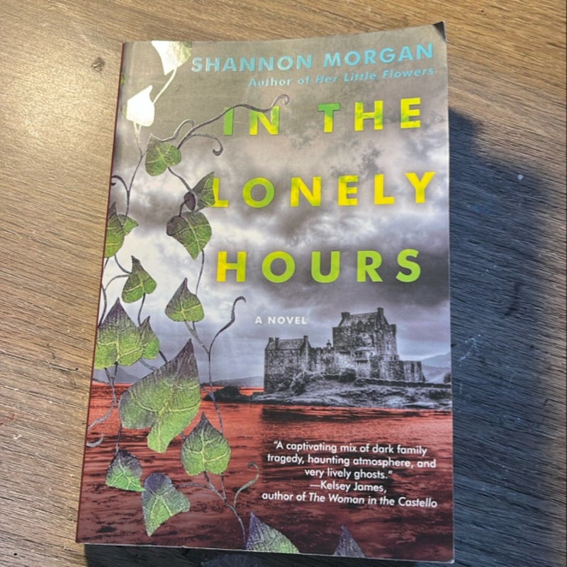 In the Lonely Hours