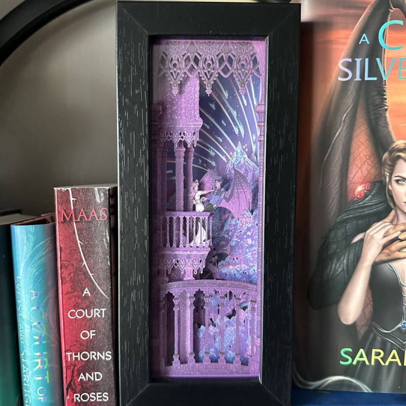 ACOTAR Bookshelf 2024 Alley by Litjoy