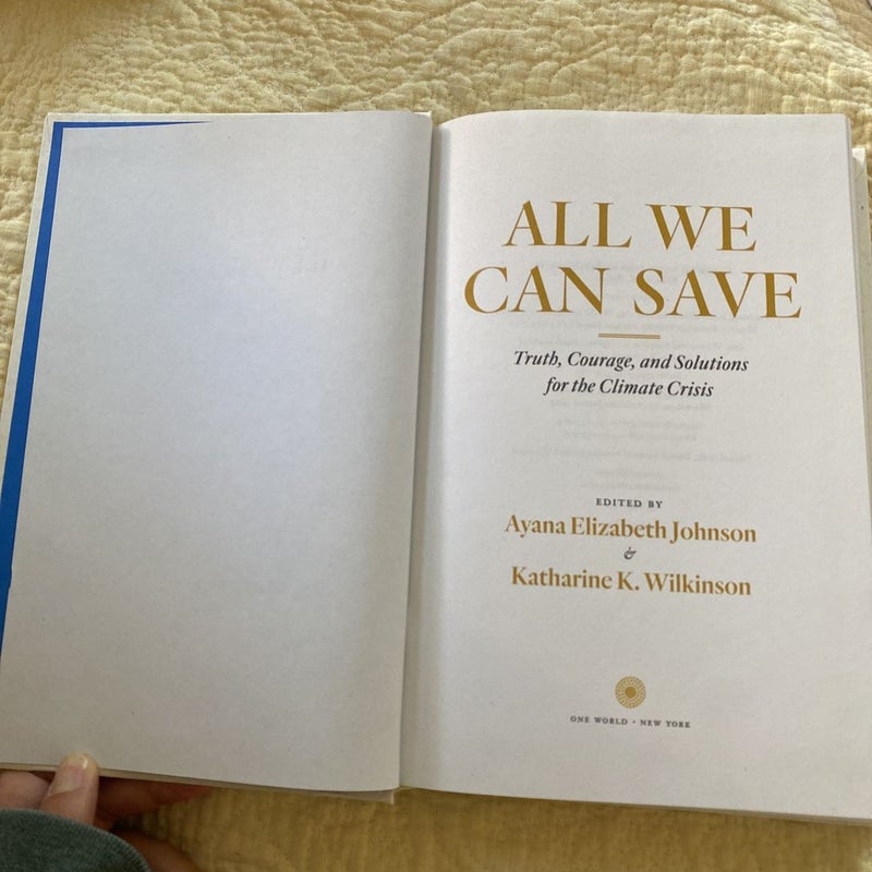 All We Can Save