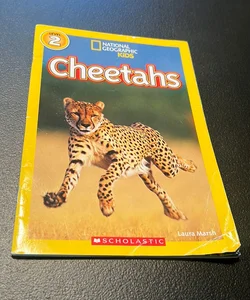 National Geographic Kids - Cheetahs