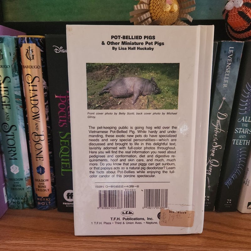 Pot-Bellied Pigs and Other Miniature Pet Pigs