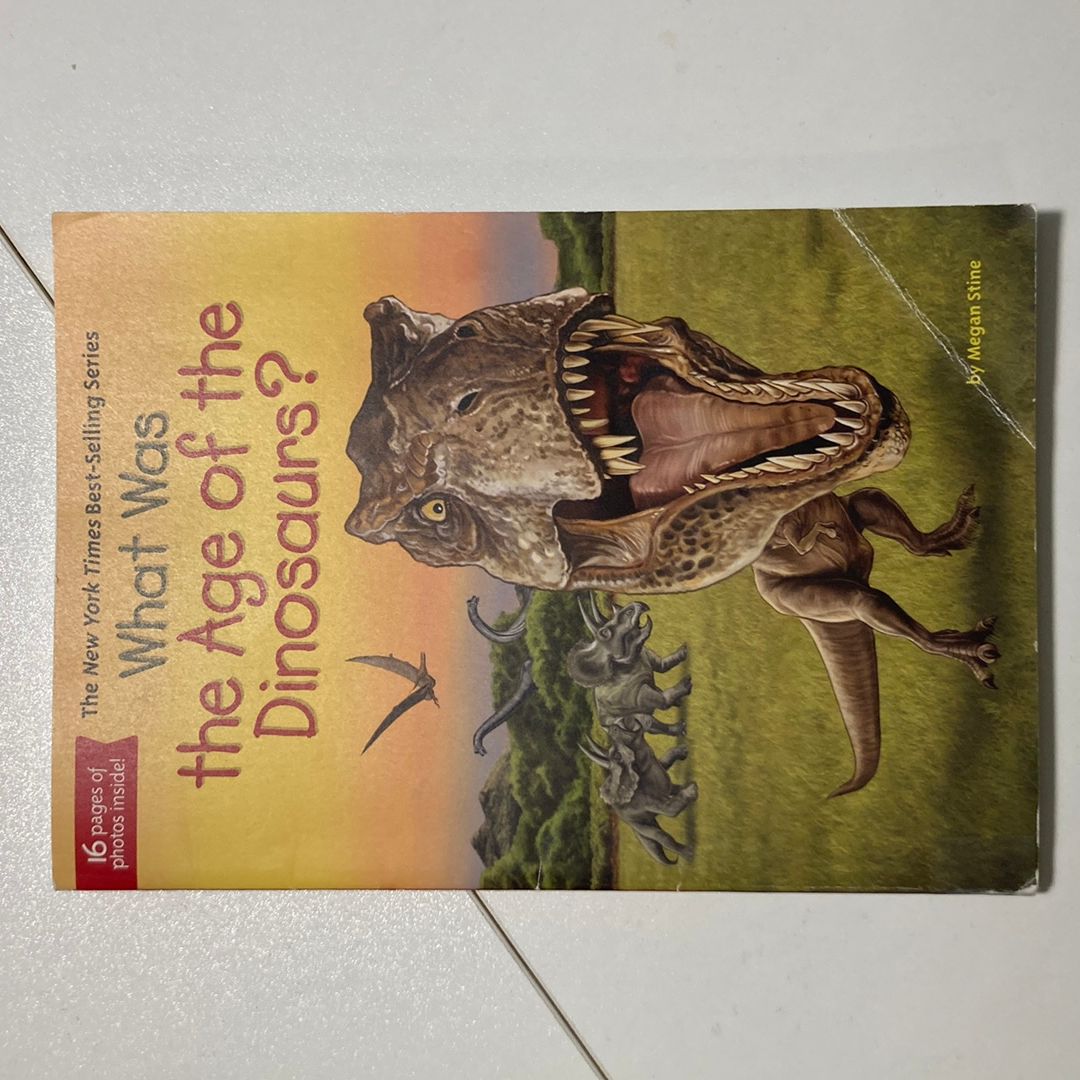 What Was the Age of the Dinosaurs?