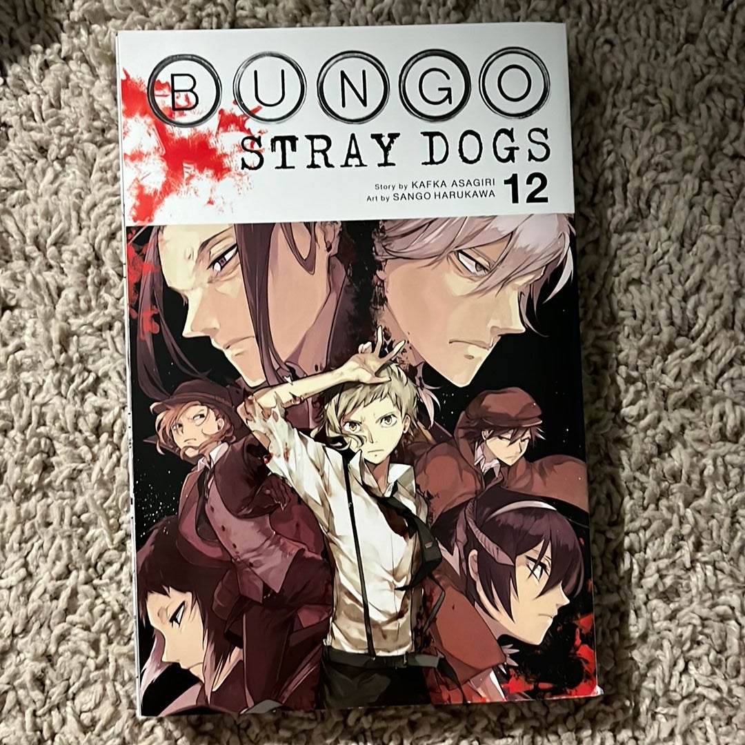 Bungo Stray Dogs, Vol. 12