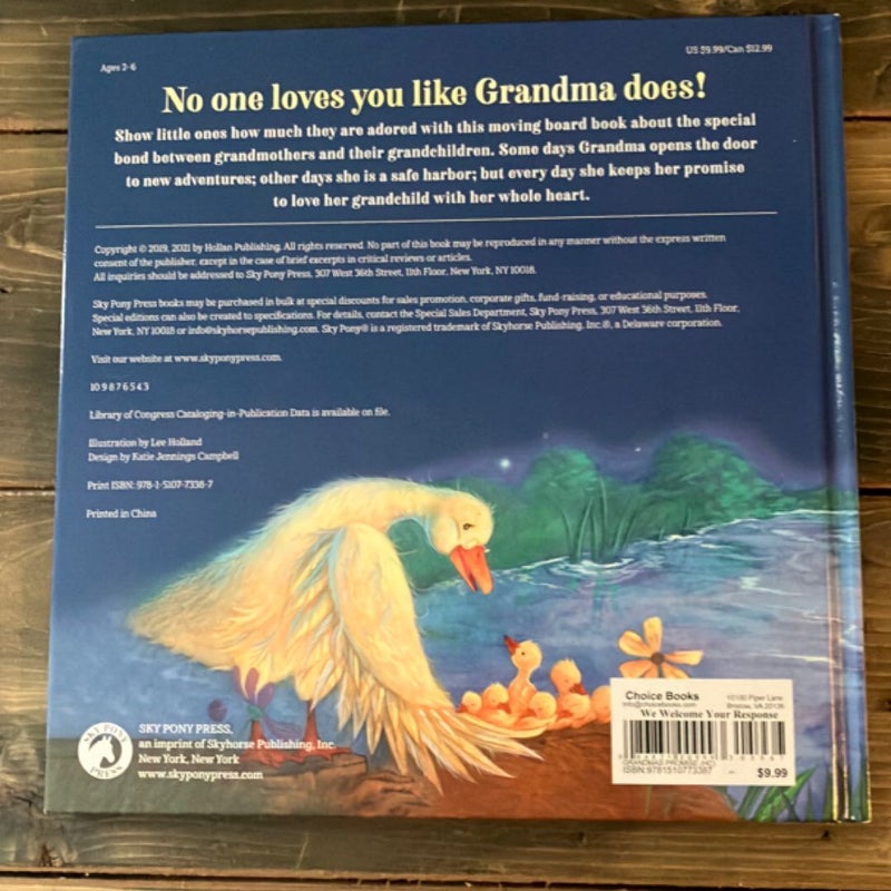 Grandma’s Promise