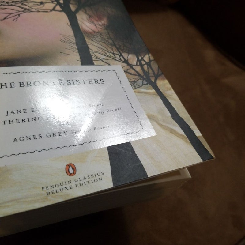 The Bronte Sisters