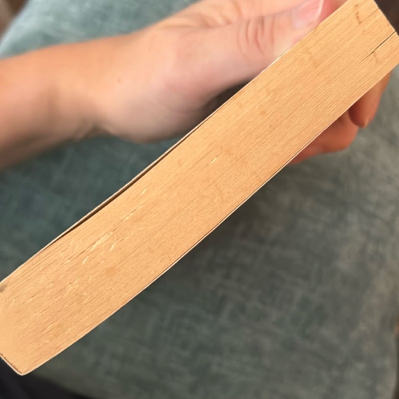 The Beloved Stranger