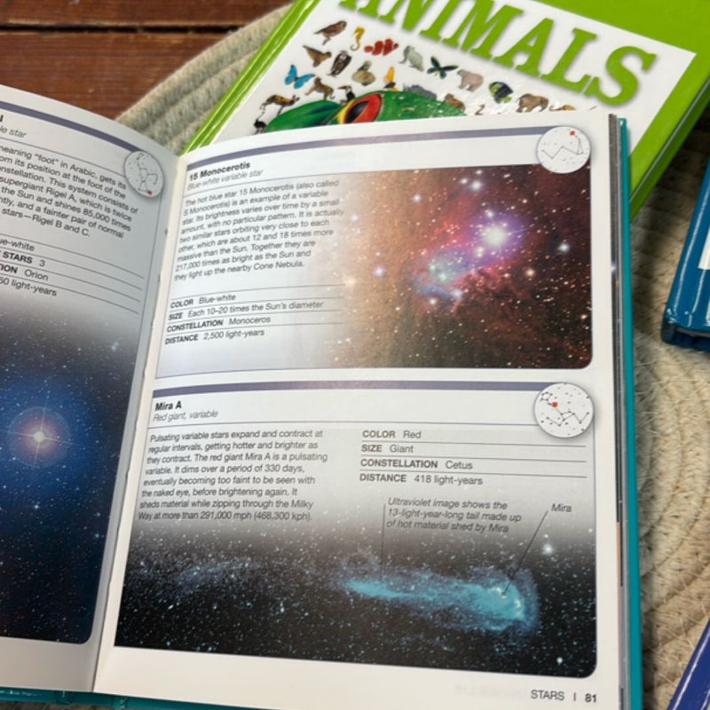 DK Pocket Genius bundle  