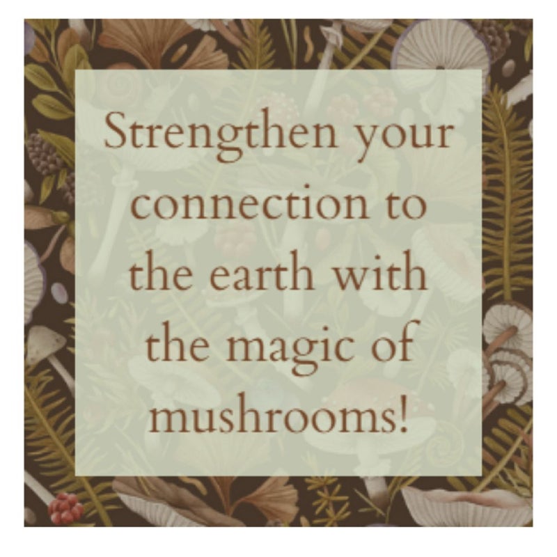 Mystical Mushrooms