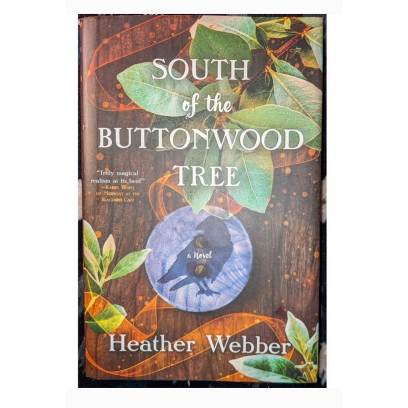 South of the Buttonwood Tree by Heather Webber Hardcover