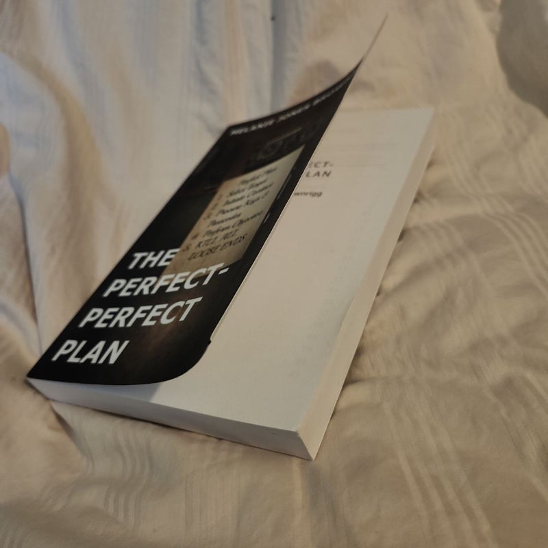 The Perfect-Perfect Plan (Self Published)