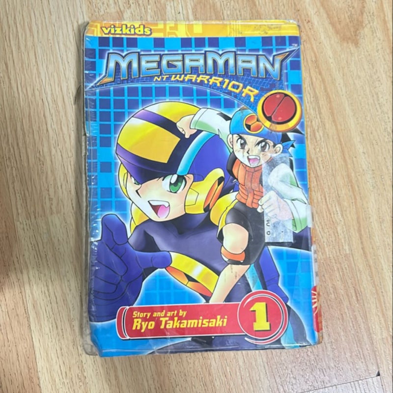 Megaman NT Warrior