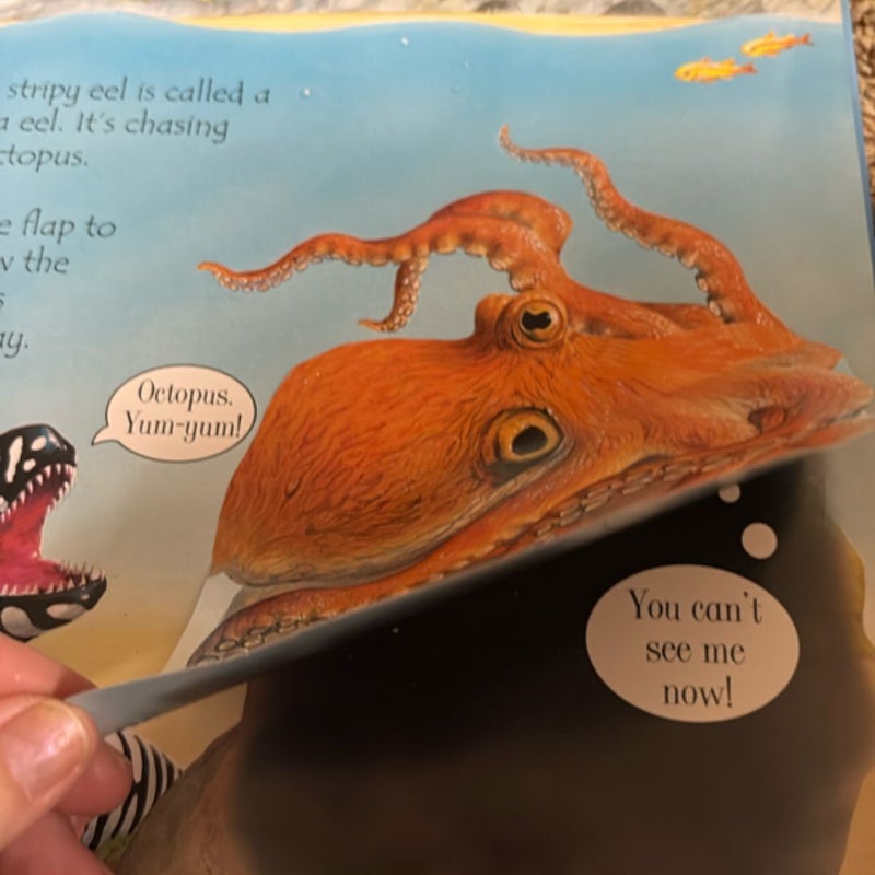 Under the Sea Lift-the-Flap