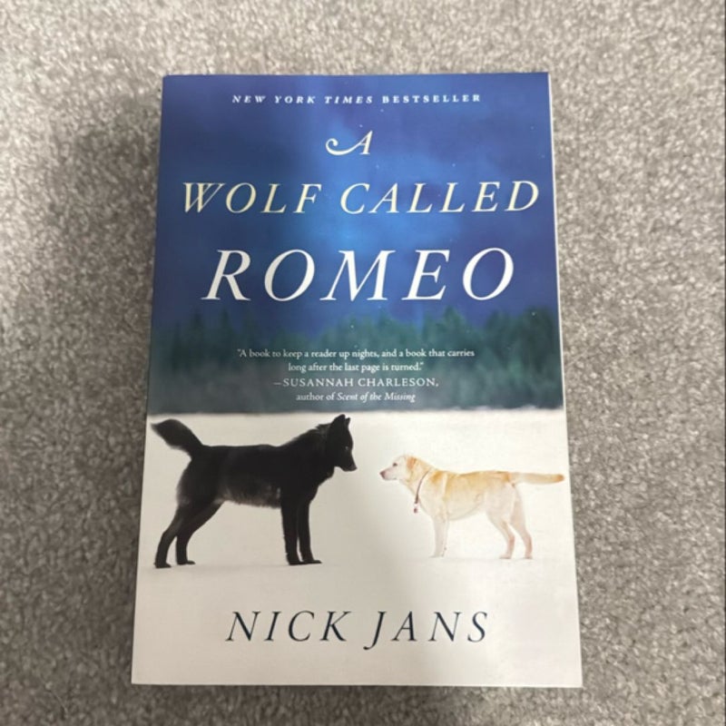 A Wolf Called Romeo