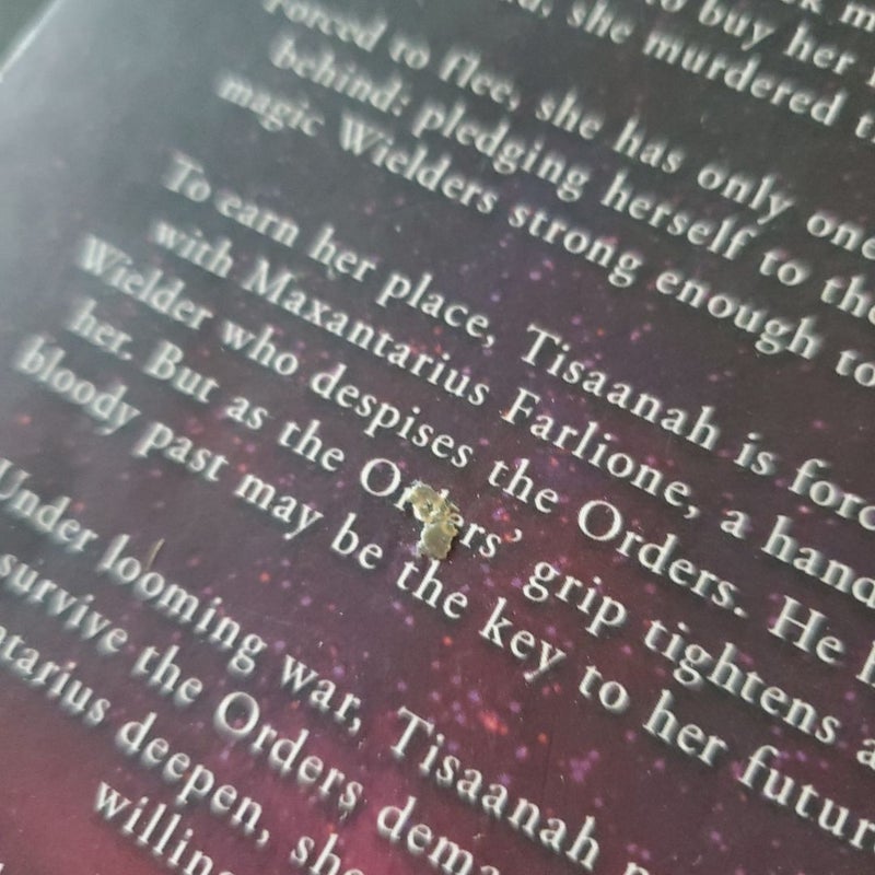 War of Lost Hearts, Daughter of no worlds, Children of Fallen Gods, Mother of Death and Dawn INDIE