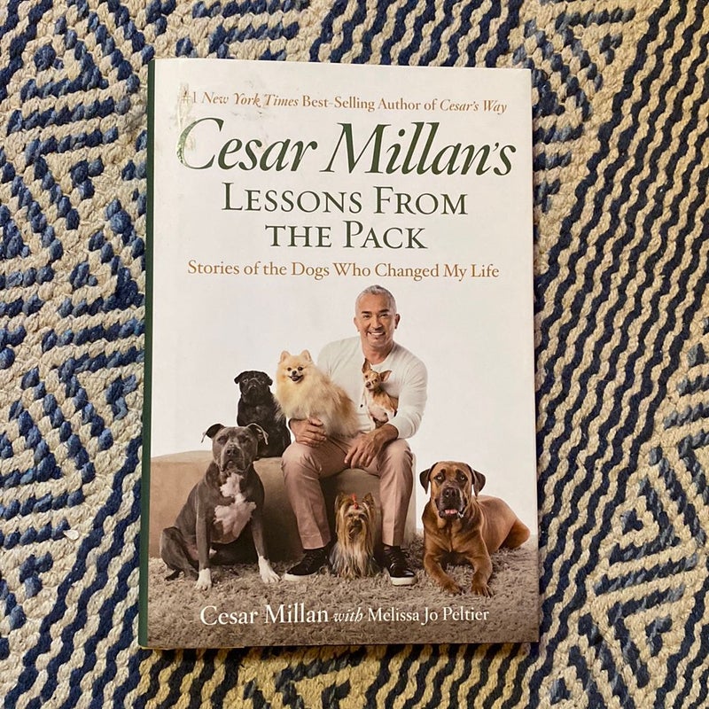 Cesar Millan’s Lessons From The Pack