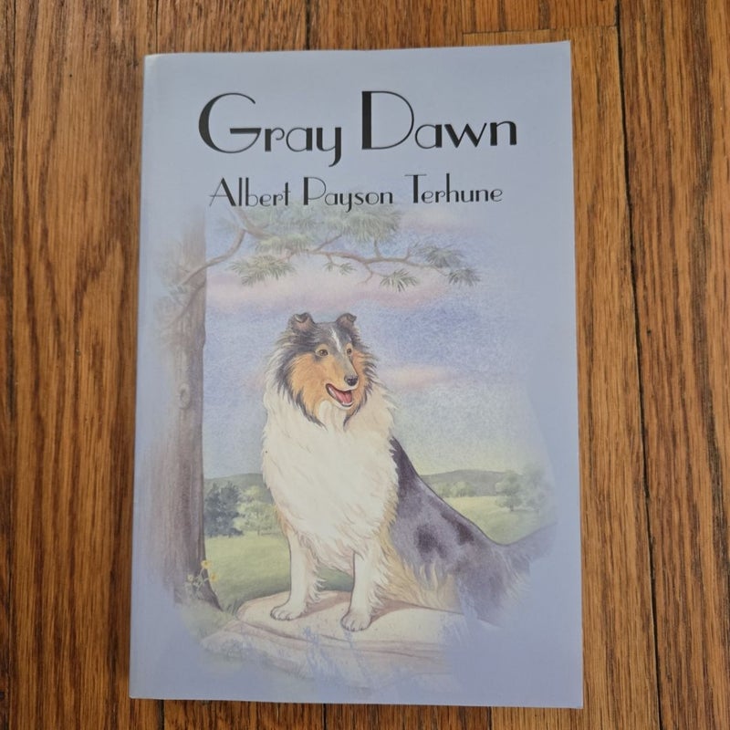 Gray Dawn