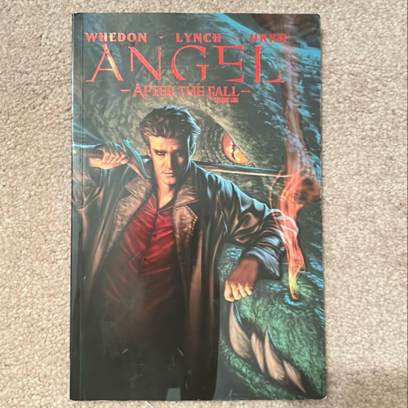 Angel: after the Fall, Vol. 1