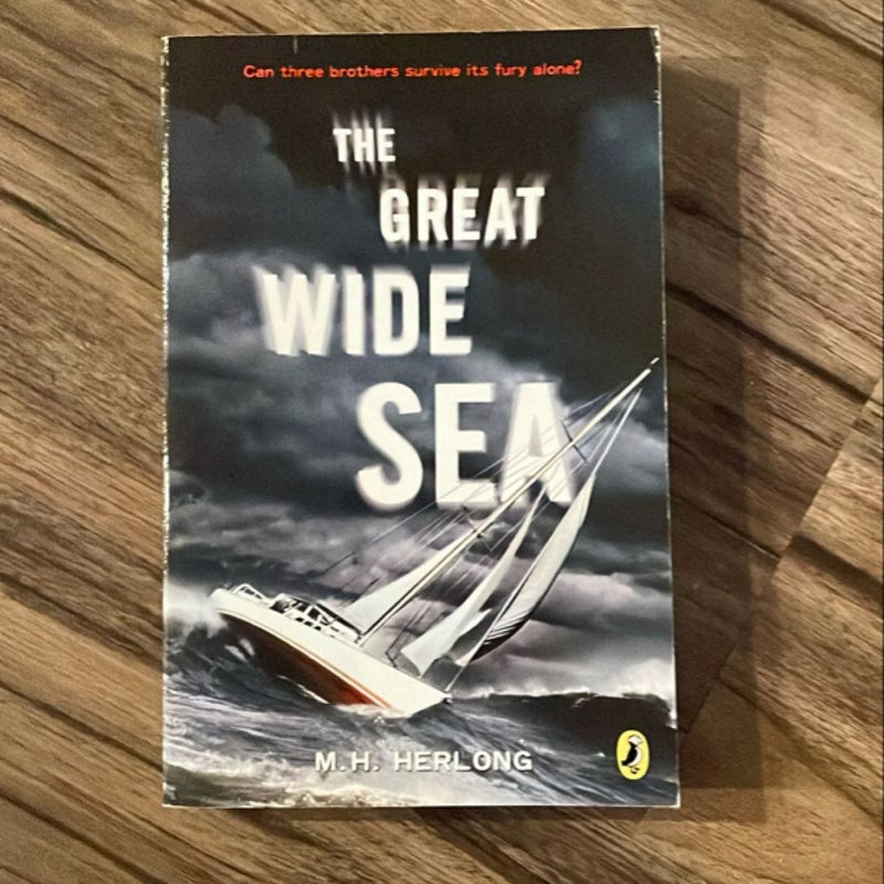 The Great Wide Sea