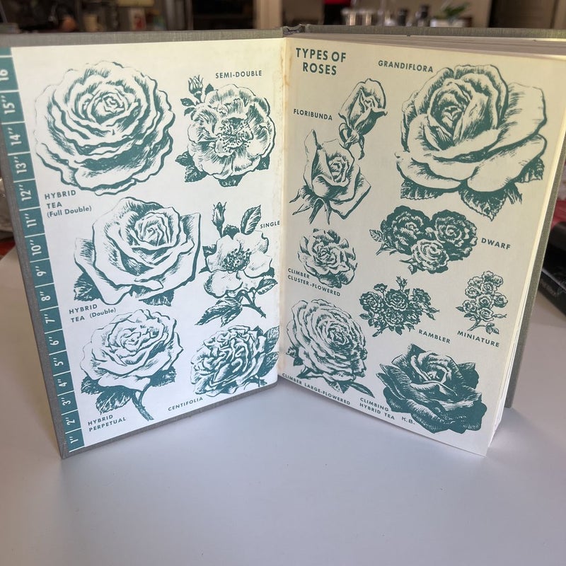 Roses