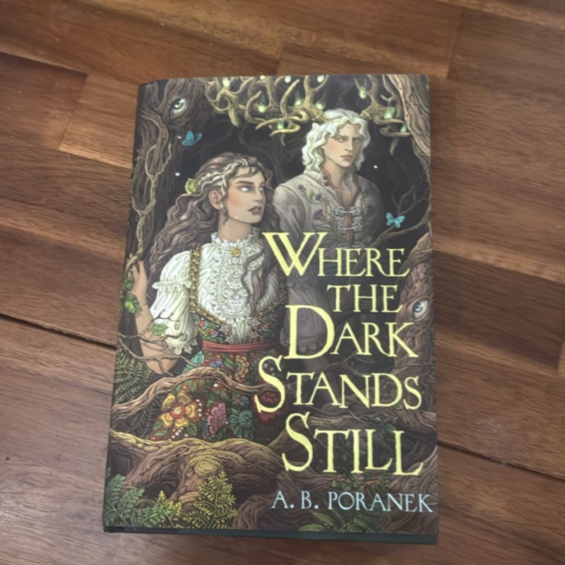 Where the Dark Stands Still