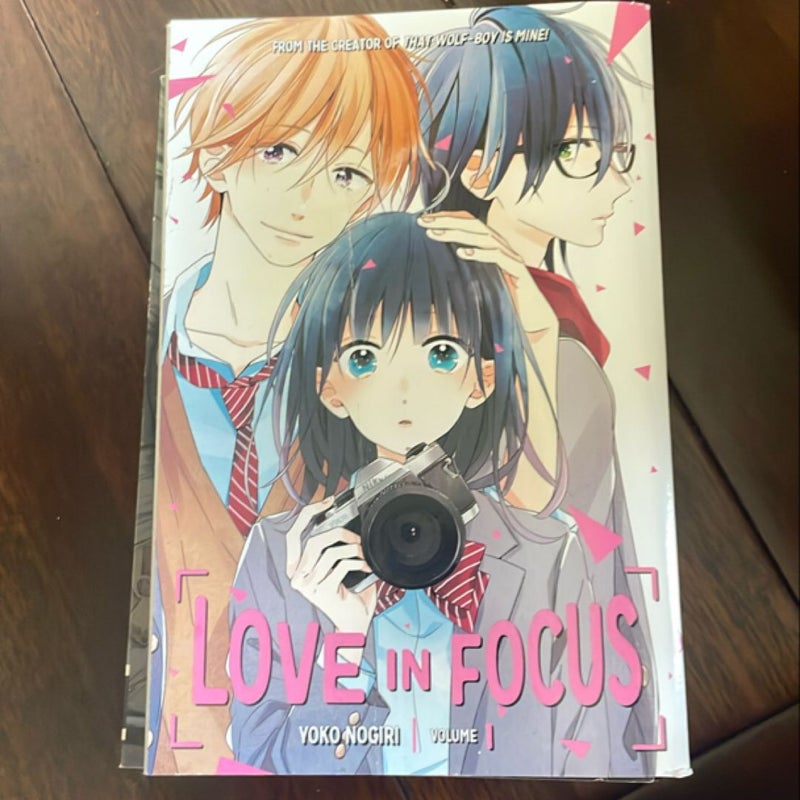 Love in Focus 1