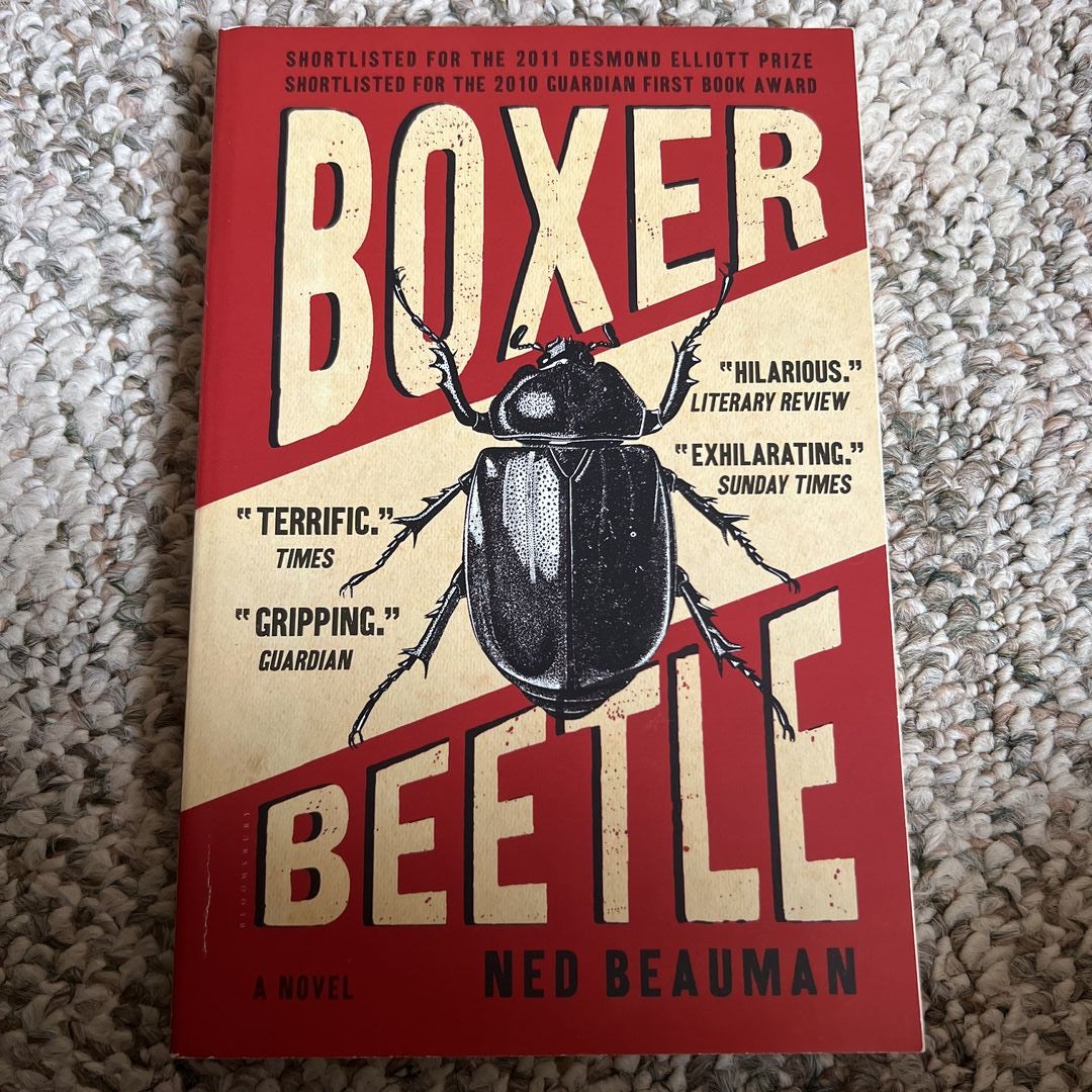 Boxer, Beetle