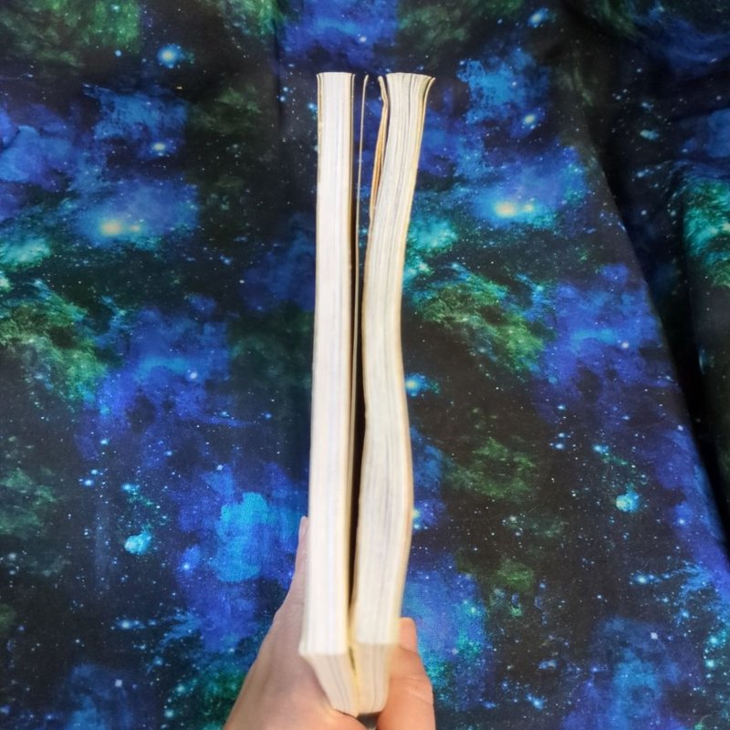 Geronimo Stilton bundle