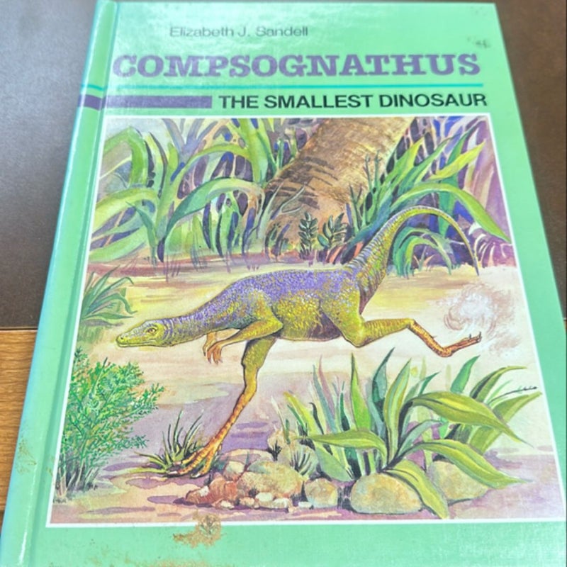 Compsognathus