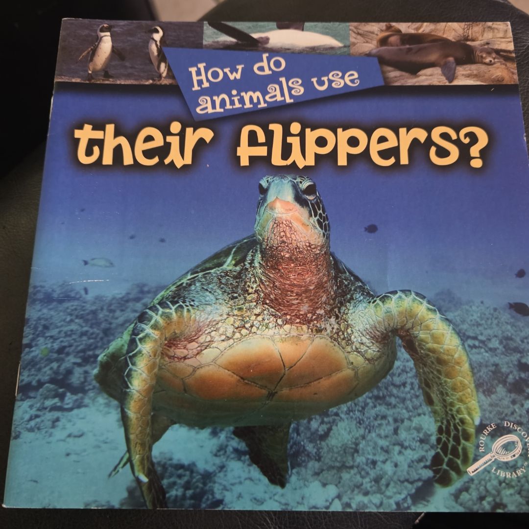 How Do Animals Use Their Flippers?