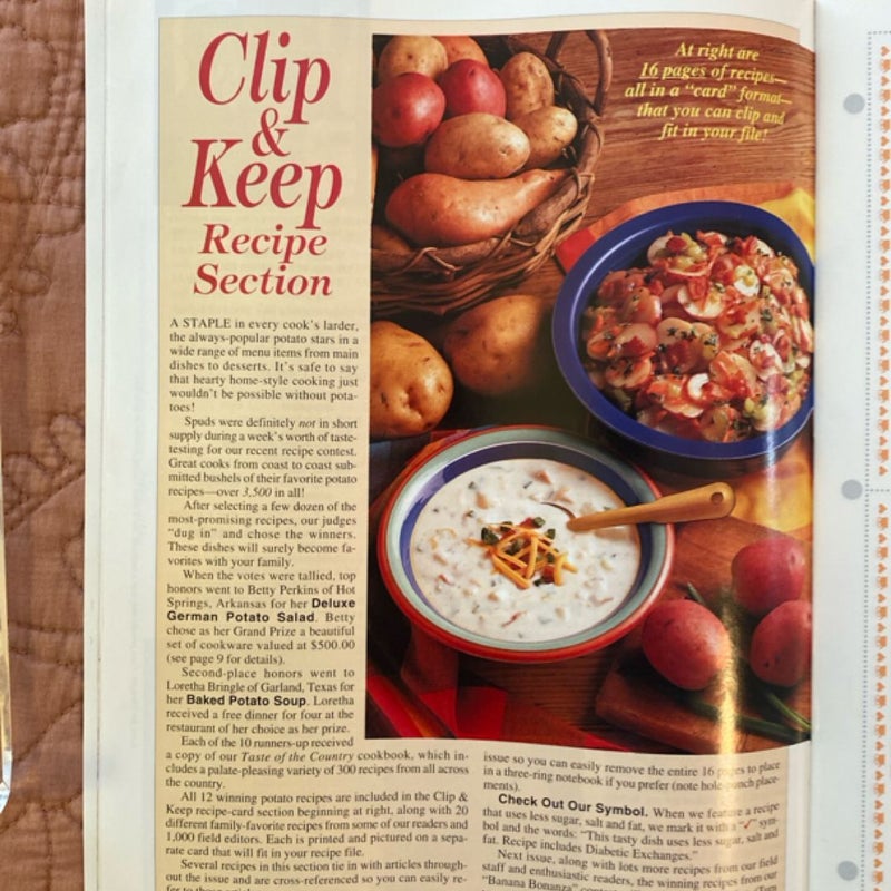 Taste of Home Magazine (Feb/March 1994