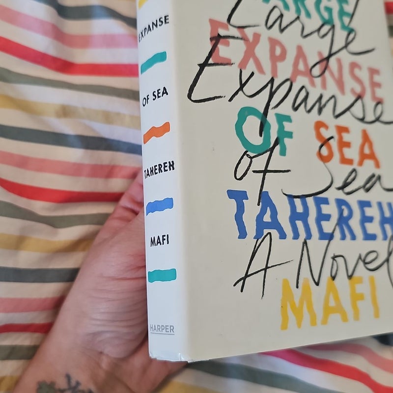 A Very Large Expanse of Sea