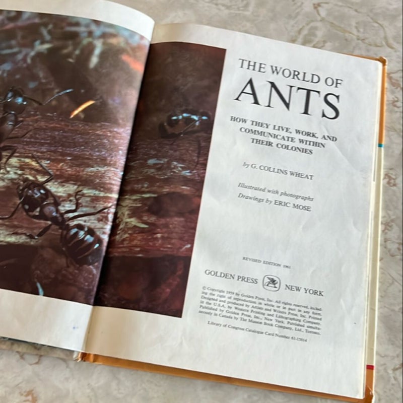 The World of Ants