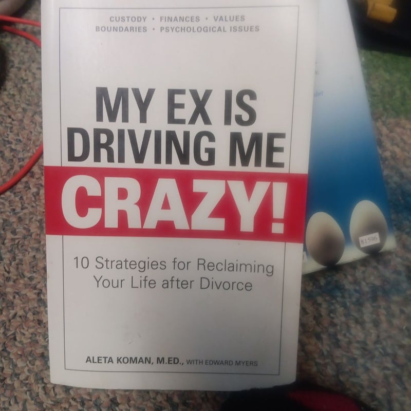 My Ex Is Driving Me Crazy