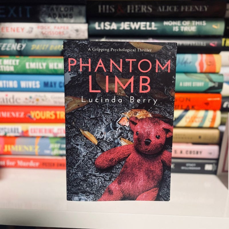 Phantom Limb: a Gripping Psychological Thriller