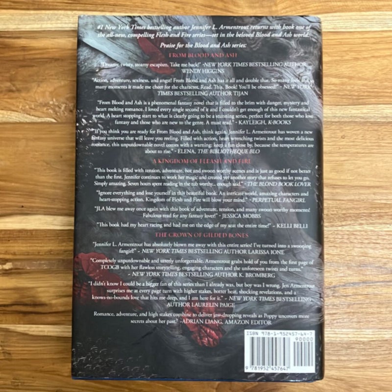 A Shadow in the Ember